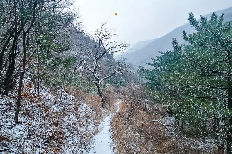 微信图片_202112131759308.jpg