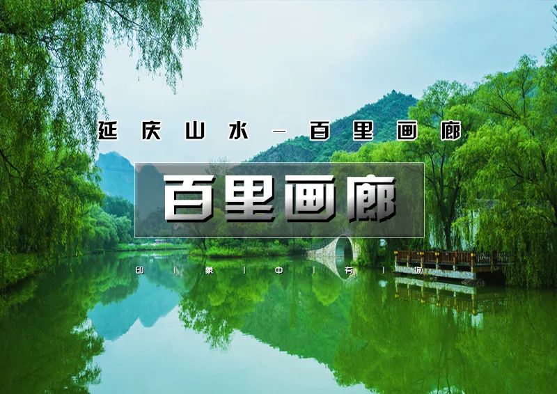 印象头图模版D.jpg