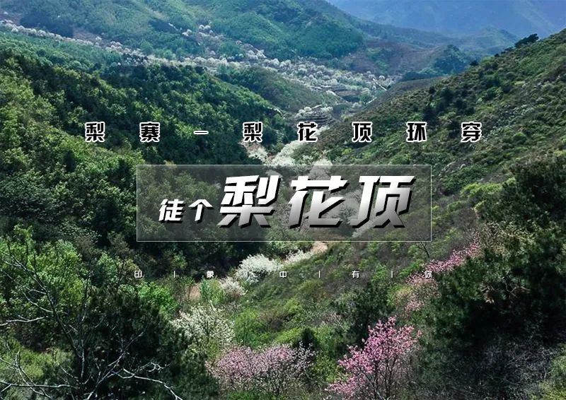 ▌ 印象头图06.jpg