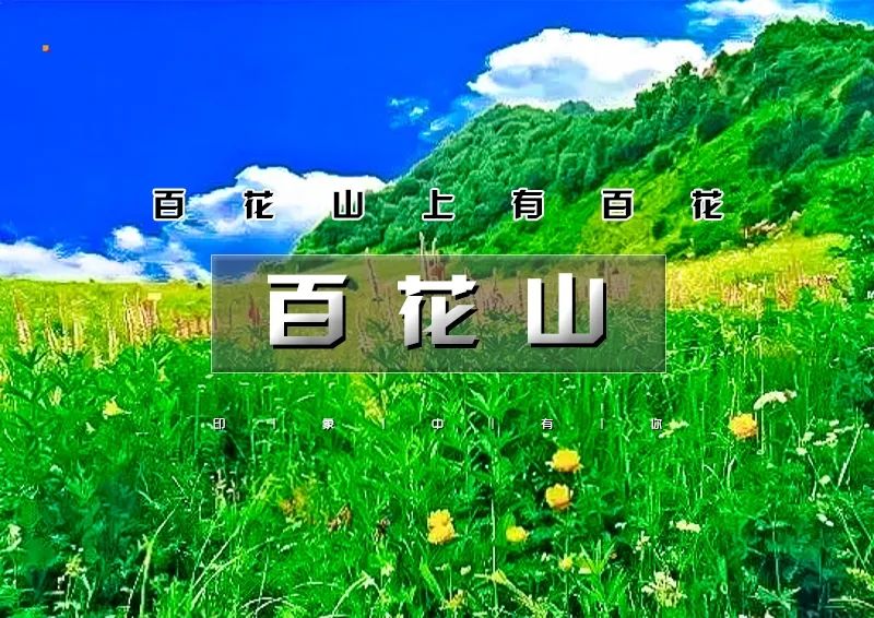 印象头图模版D.jpg