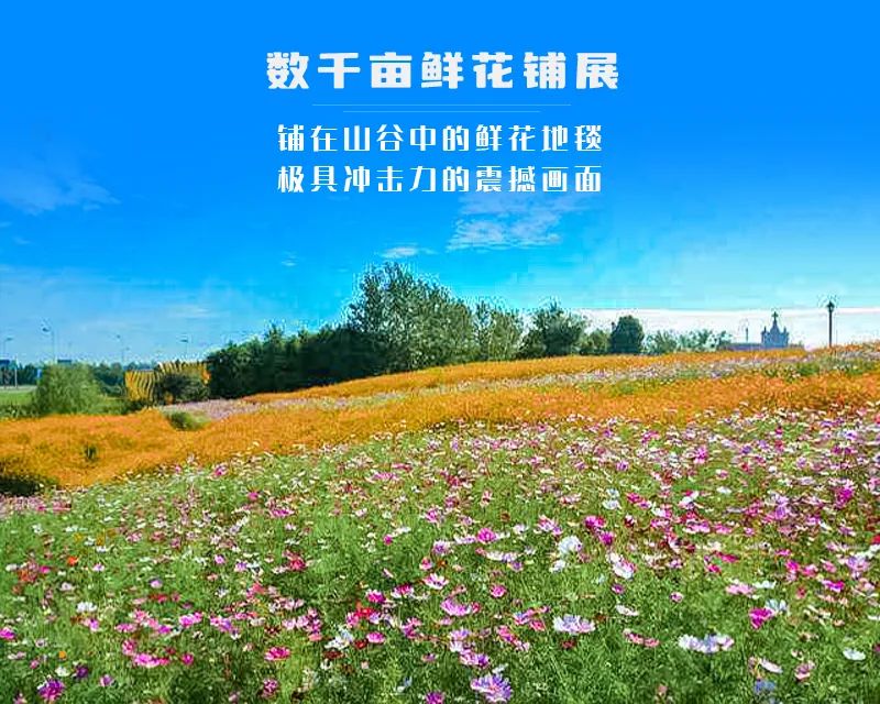 ★印象细图A.jpg