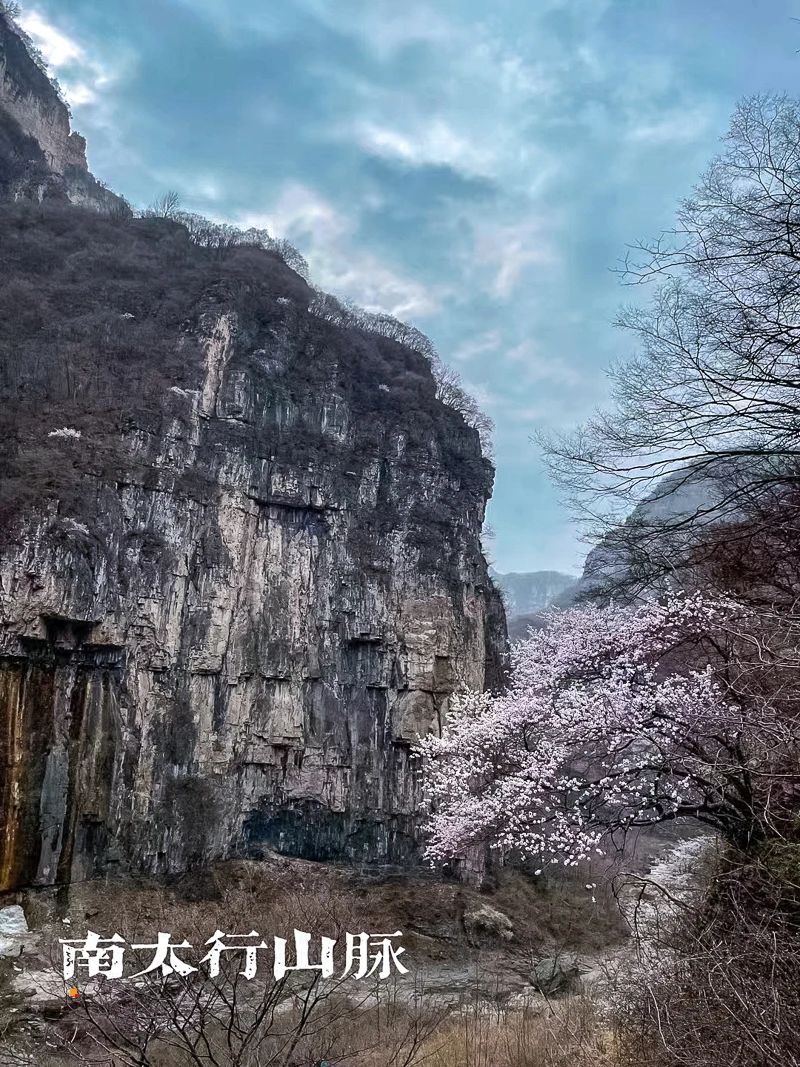 微信图片_20230402133809.jpg