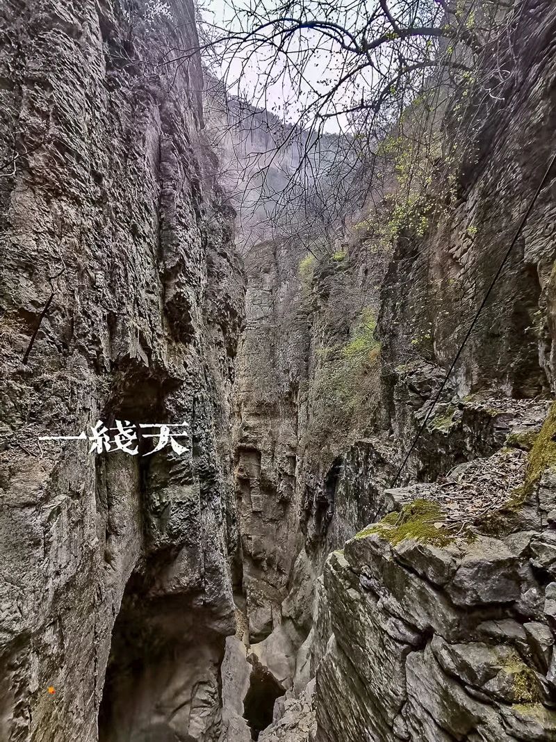 微信图片_202304021338091.jpg
