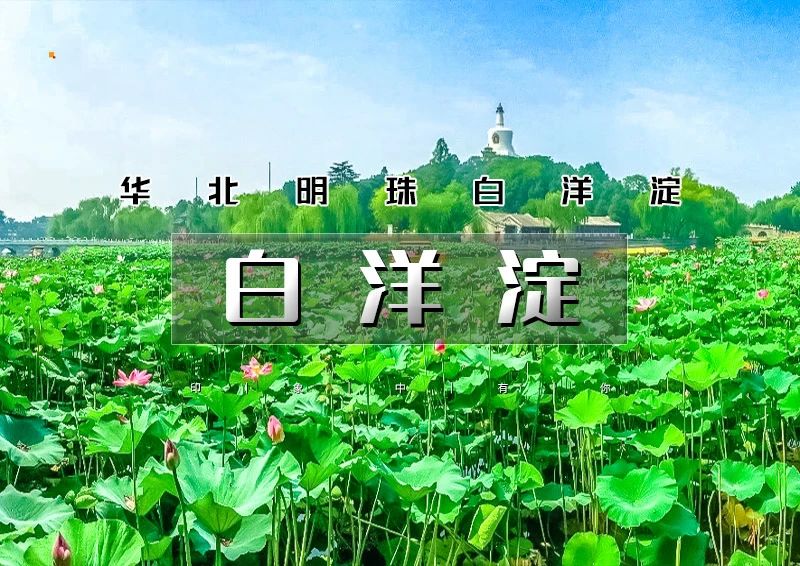 ▌▌印象头图.jpg