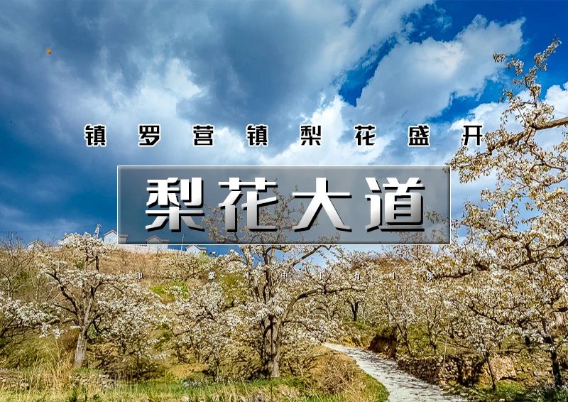 ▌▌印象头图.jpg
