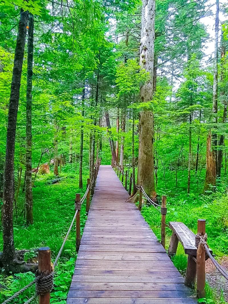 反向旅游夏天的长白山真的超“冷”门_5_1001户外旅行-轻奢度假_来自小红书网页版.jpg