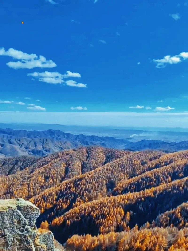 乌兰察布【苏木山森林公园】景区｜呼市周边游_4_未来人-Ｍｒｉ_来自小红书网页版.jpg