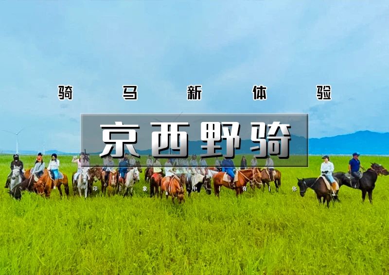 ▌▌印象头图.jpg