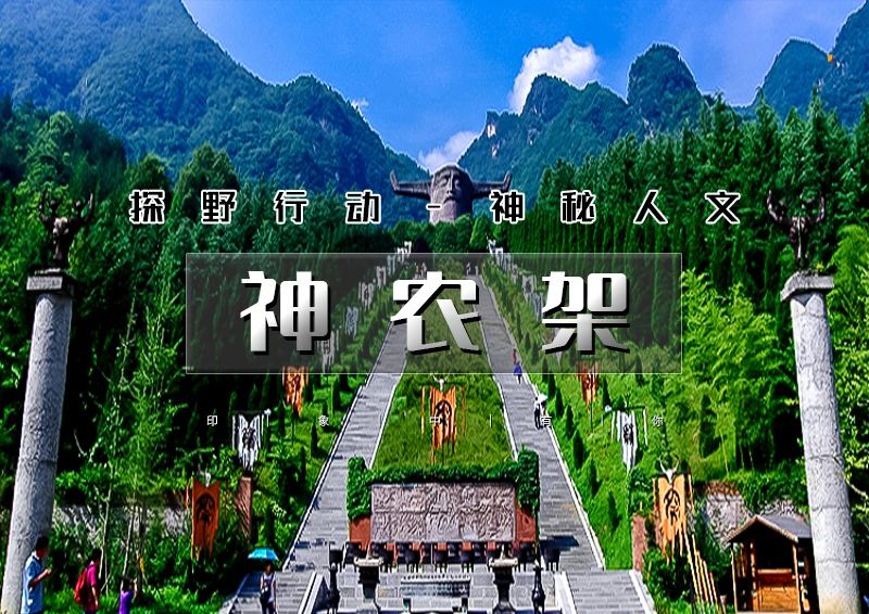 ▌▌印象头图.jpg