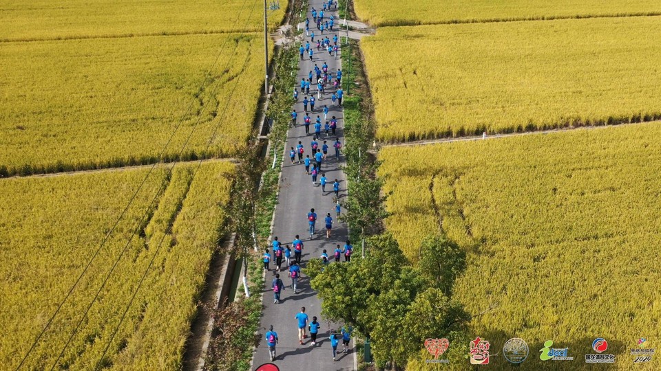 微信图片_20201026095638