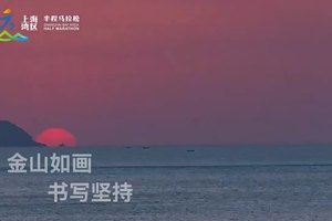 2025上海湾区半程马拉松宣传片