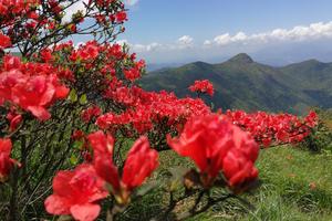 2019十峰登山之临武天头岭