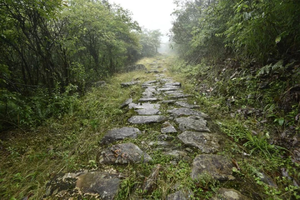 2021十峰登山之桂东三丫石