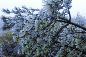 2023十峰登山之第八站站天元山