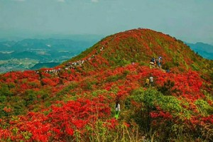 2025十峰登山首站仰天湖