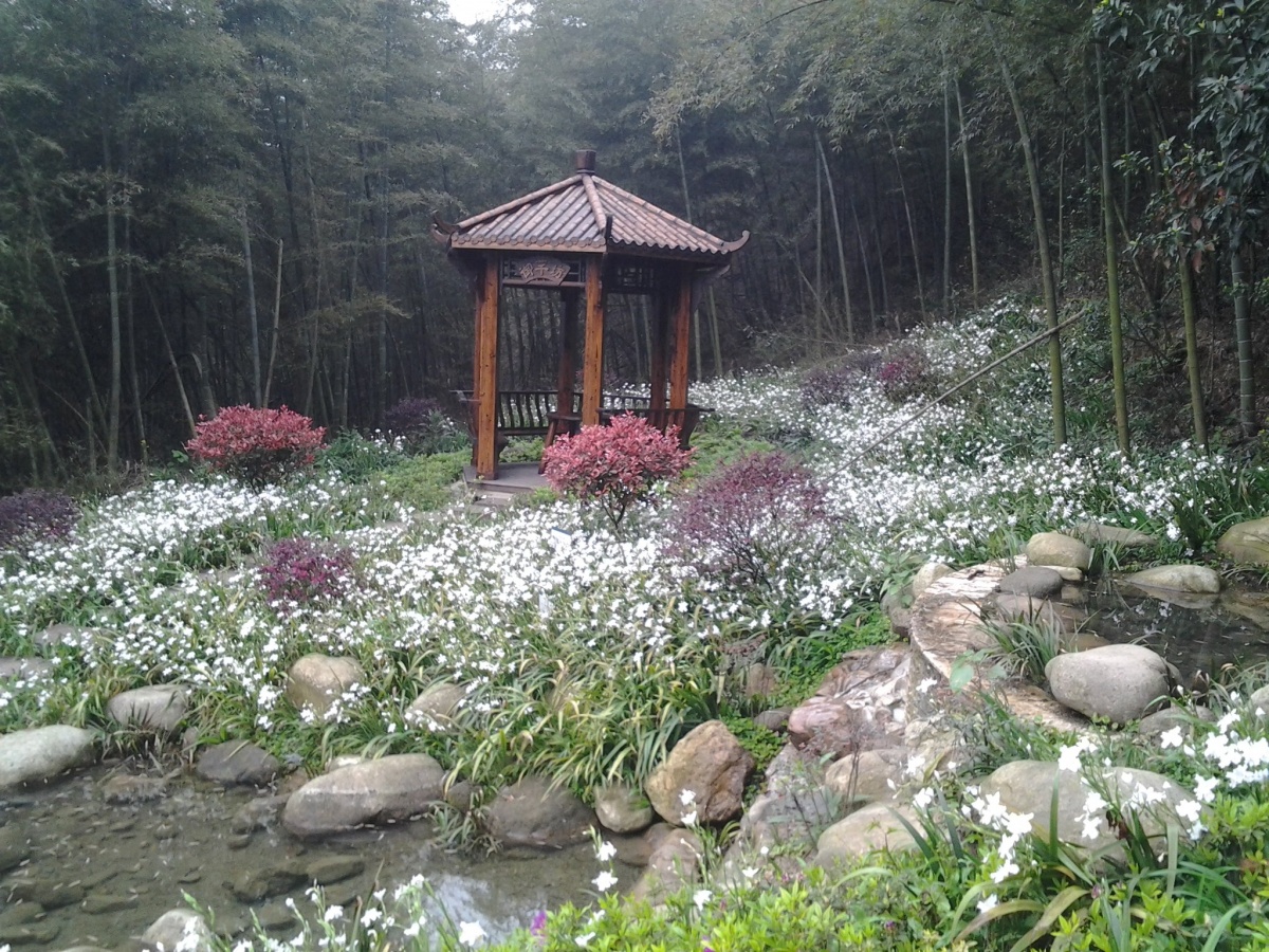 苏仙岭6.jpg