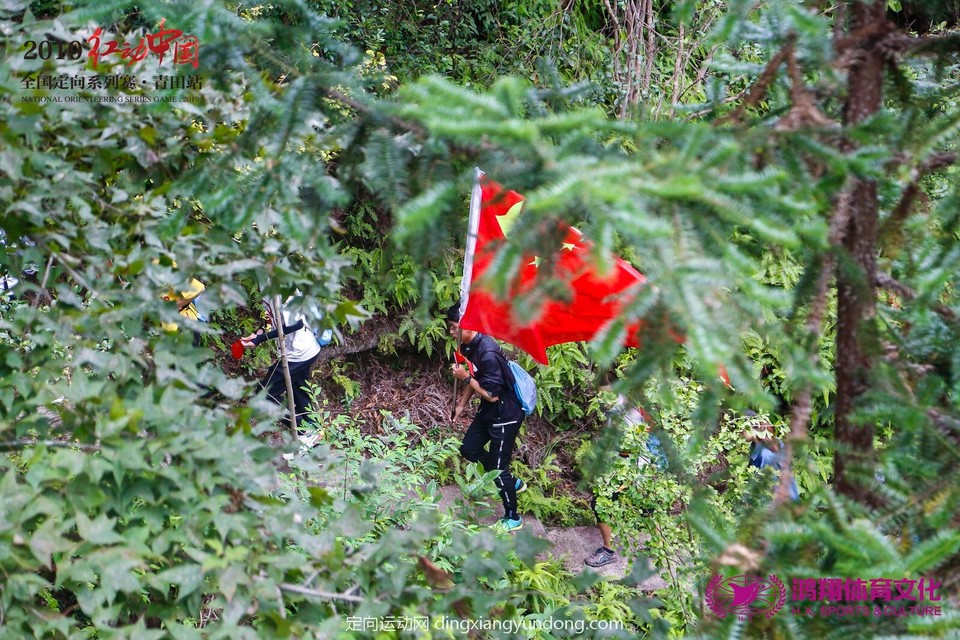 261ff948047862c3a59939608b7b001