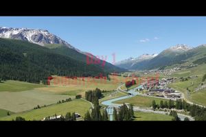 世界定向周第一天