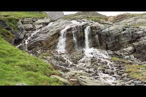 世界定向周第五天