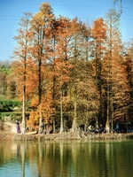 “潮引力·轻越野”—秋假出逃计划第一期～绍兴更楼古道