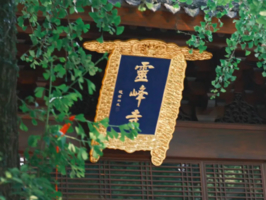 “潮引力·乐山野”—亲子登高轻徒步，站灵峰山之巅·寓新年节节高！