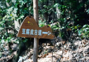 “潮引力·乐山野”—杭州豆腐皮古道