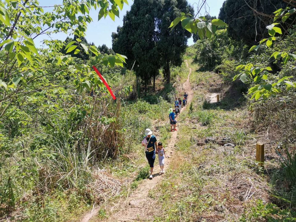 QiEIFD4mPUnwhtAvxcKrmHD6TZCqGm_nNj9BRFYHDX3TCkNkhg29zSSJ2M5hS3Wf