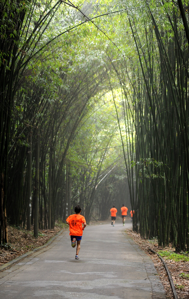 微信图片_20180709140328