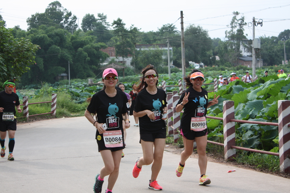 1fybkv6rqdvd9529yhmavcuj63hj8aor