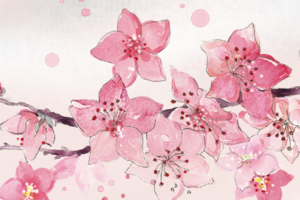 寻桃记GPS跟踪器押金收取