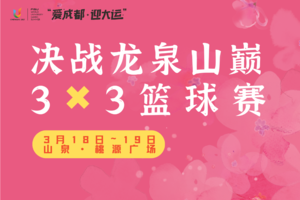 2023桃花故里景区3✖️3篮球赛