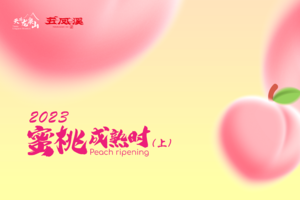 2023天府龙泉山之蜜桃成熟时（上）