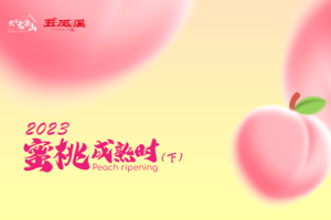 2023天府龙泉山之蜜桃成熟时（下）