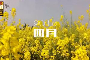 爱跑Town丶桃色—2016周末享跑系列活动五凤溪站宣传片