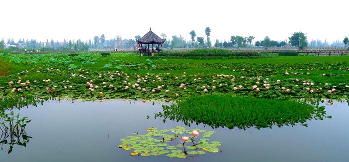 9DP(N5MD95FB)AH{`~RU0YL