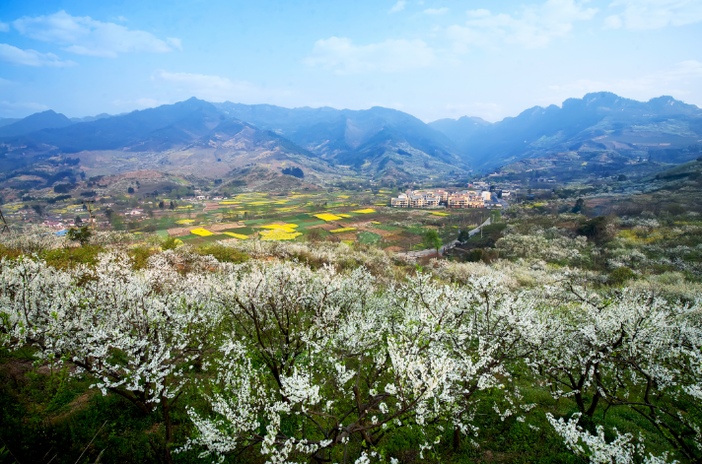 DYH342S$5BV_{31BJ7TG`]2