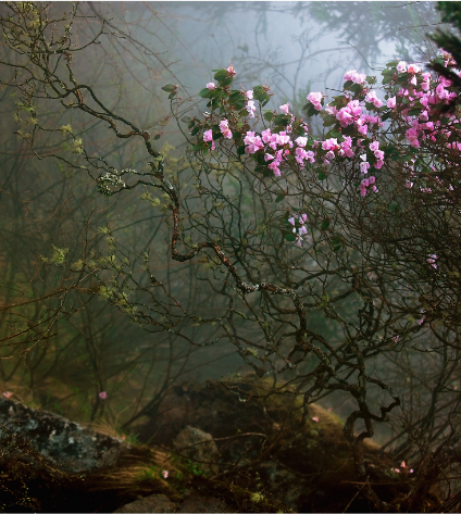 XDA5N7{J)L4B`OKZ7NB]HMS