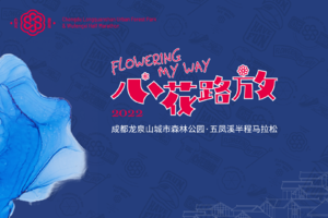 半程组/健康跑组—2022五凤溪马拉松（赛事日11月6日）