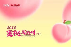 2023天府龙泉山之蜜桃成熟时(下)24公里组GPS押金