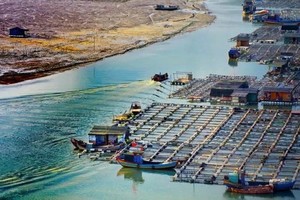 【国庆 霞浦5日•动车团】 10月2-6日：中国十大最美海岛●大嵛山岛-中国最美滩涂摄影地