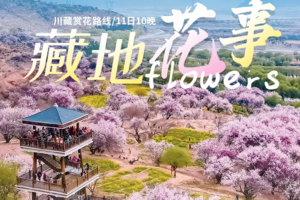 【藏地花事】金川梨花\色达\德格印经院\强巴林寺\然乌湖\来古冰川\林芝桃花\雅鲁藏布大峡谷11日游