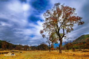 【两日游】20-21虎行山攀爬、露营泡原汤真温泉。