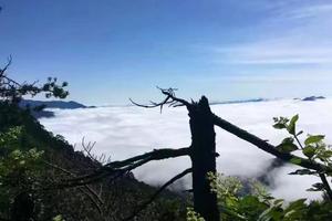 【两日户外】10.27-28 秋落鹞落坪：登顶多枝尖+漫步十里画廊赏红叶2日游！