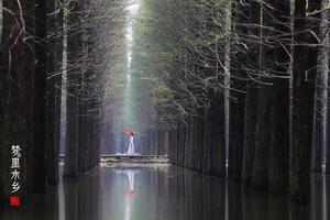 【休闲摄影·周六】梦里水乡一日游——折叠时空场景，唤醒浓郁乡愁。