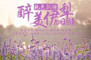 【新疆-醉美伊犁10日】赛里木湖 夏特徒步 薰衣草 喀拉峻 巴音布鲁克 吐鲁番 火焰山 交河古城 独库公路 