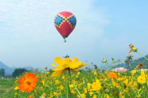 【自驾·仙岛湖】8月17-18日动力伞、热气球、皮划艇、天空之城、烧烤露营~