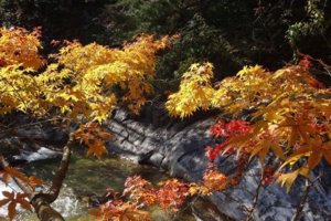 【经典踏秋】10月23-24 小九寨-鹞落坪：漫步十里画廊+桃花溪赏红叶2日行摄