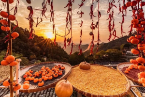 【国庆·梦回徽州】10月5-8日天上人间木梨硔-宏村-木坑竹海-篁岭晒秋 休闲摄影游！