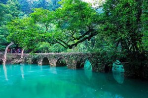 【国庆A线】黄果树-大小七孔-西江千户苗寨-镇远古镇-梵净山深度7日游 -武汉大巴起止