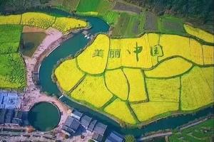 【婺源春色】3月23-24日：深入婺源小众古村+品味徽派古风+穿越油菜花海